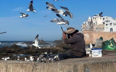 Retraite Yoga & Surf au Maroc – Essaouira